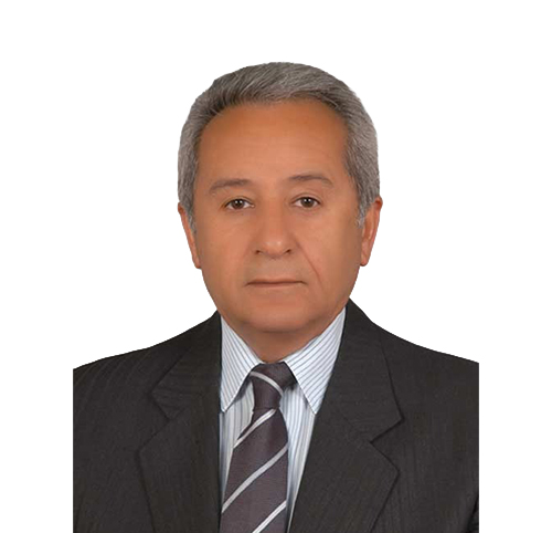 Sorumlu Denetçi